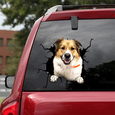 [sk1643-snf-vdt]-custom-crack-sticker-dogs-lover