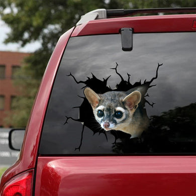 [sk1740-snf-tnt]-ring-tailed-cat-crack-car-sticker-hunting-lover