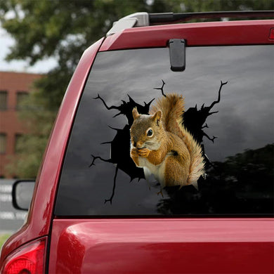 [sk1742-snf-tnt]-squirrel-crack-car-sticker-hunting-lover