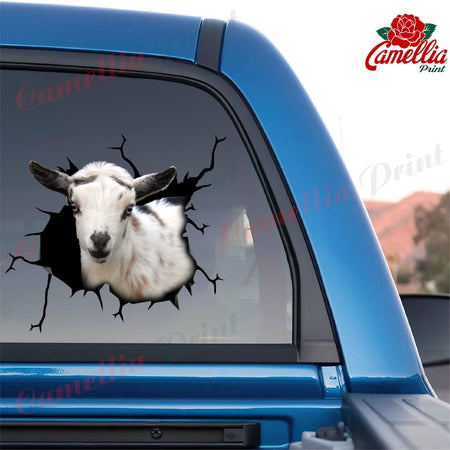 Nigerian Dwarf Goat Crack Sticker For Car Funny Quotes Big Stickers Anniversary Gift For Wife