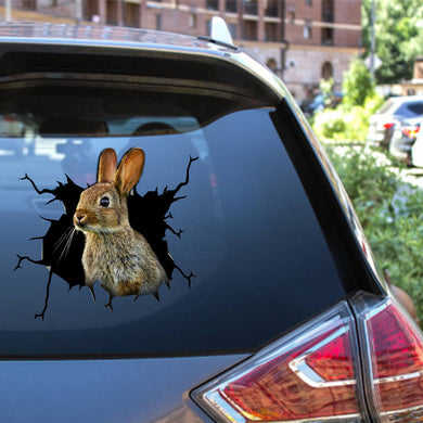 Rabbit Crack Car Decal Custom Kawaii Window Stickers Gift Ideas For Dad