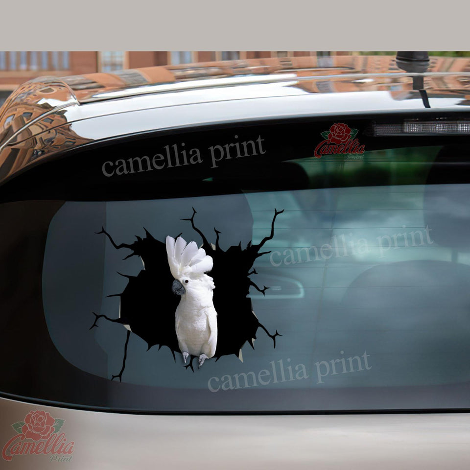 Parrot Crack Sticker For Car The Cutest Sticker Paper 50th Wedding Anniversary Gifts