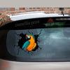 Parrot Crack Sticker Decals Funny Stickers Best Gift For Girlfriend