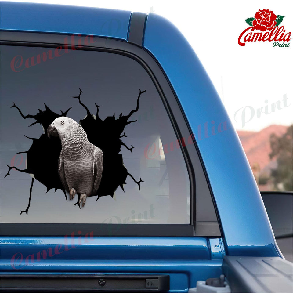 Parrot Crack Decals Cute Bumper Stickers Anniversary Gifts For Men