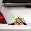 [sk0772-snf-tpa]-shih-tzu-crack-car-sticker-dogs-lover