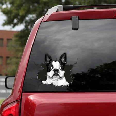 [sk0404-snf-tpa] Boston Terrier Crack car Sticker dogs lover - Camellia Print