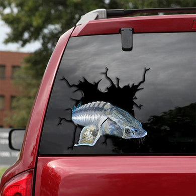 [sk0893-snf-tpa]-sturgeon-crack-car-sticker-fishing-lover