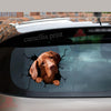Vizsla Crack Decal For Car Window Funny Memes Outdoor Stickers Unique Mothers Day Gifts