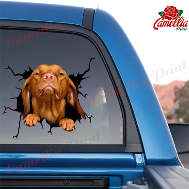 Vizsla Crack Decor Decal You Cute Face Stickers Good Gifts For Dad
