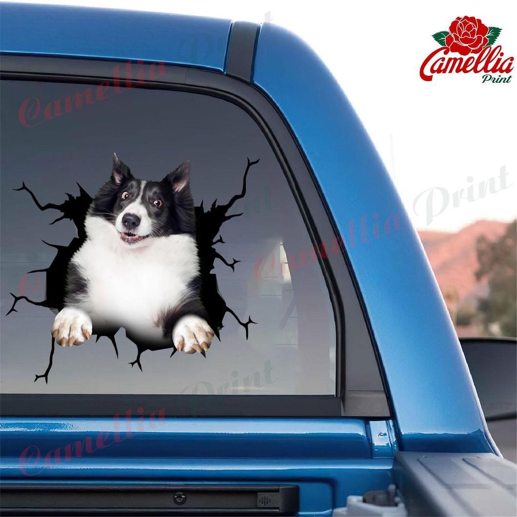 Border Collie Crack Decals For Windows Funny Gifs Custom Car Stickers Christmas Gifts For Boyfriend