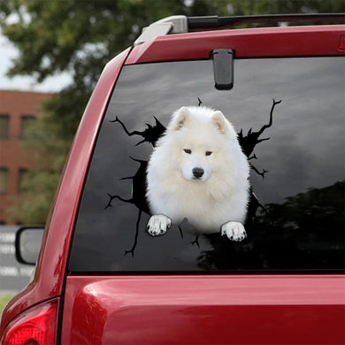 [da0004-snf-tpa]-samoyed-crack-car-sticker-dog-lover