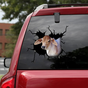 [sk1259-snf-ptd]-brahman-crack-car-sticker-cattle-lover