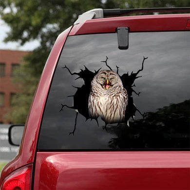 [sk1558-snf-tnt]-owl-crack-car-sticker-pets-lover