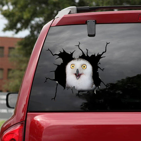 [sk1559-snf-tnt]-owl-crack-car-sticker-pets-lover