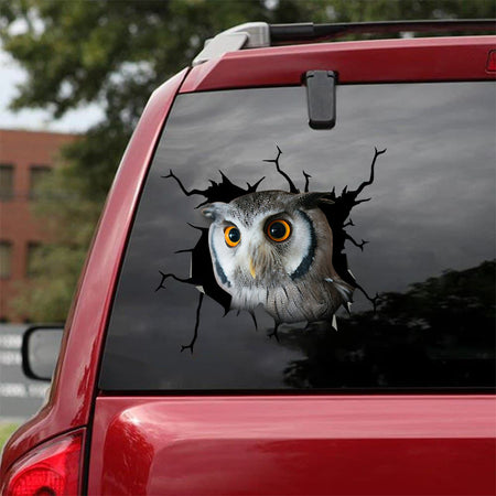[sk1560-snf-tnt]-owl-crack-car-sticker-pets-lover