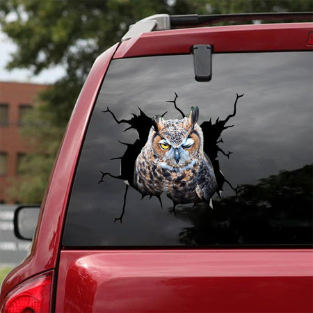 [sk1562-snf-tnt]-owl-crack-car-sticker-pets-lover