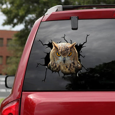 [sk1563-snf-tnt]-owl-crack-car-sticker-pets-lover
