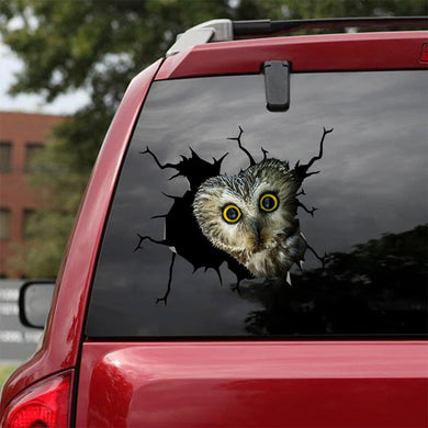 [sk1564-snf-tnt]-owl-crack-car-sticker-pets-lover