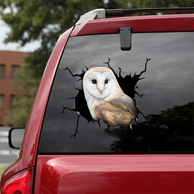 [sk1565-snf-tnt]-owl-crack-car-sticker-pets-lover