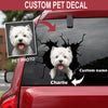 Personalized Your Pet Shih Tzu Crack Decals For Walls Funny Wall Decor Vinyl Stickers For Cars 70th Birthday Ideas