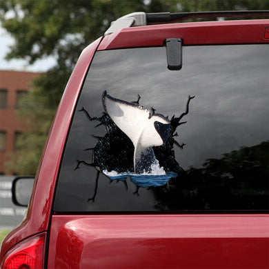 [sk0791-snf-tpa]-dolphin-crack-car-sticker-animals-lover