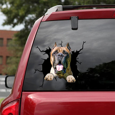 [dt0158-snf-tnt]-cane-corso-crack-car-sticker-dogs-lover