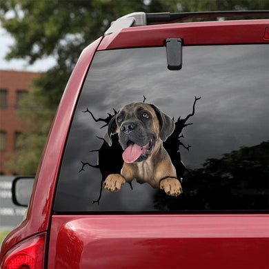[dt0159-snf-tnt]-cane-corso-crack-car-sticker-dogs-lover