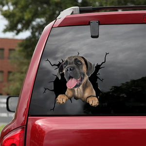 [dt0159-snf-tnt]-cane-corso-crack-car-sticker-dogs-lover