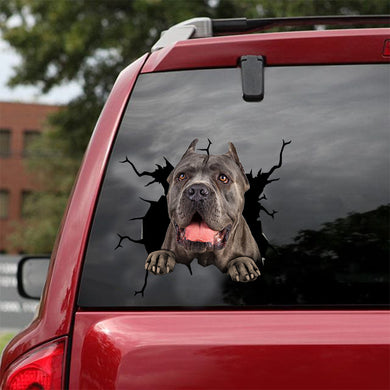 [dt0162-snf-tnt]-cane-corso-crack-car-sticker-dogs-lover