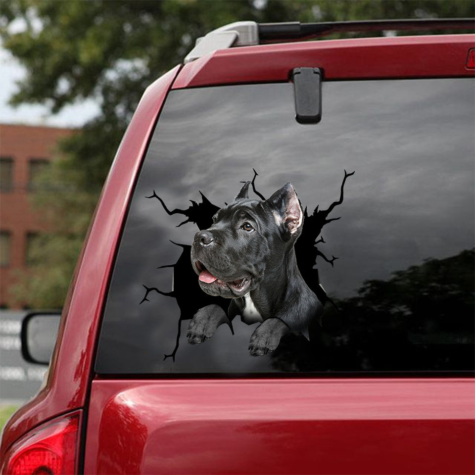 [dt0163-snf-tnt]-cane-corso-crack-car-sticker-dogs-lover