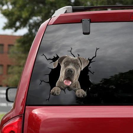 [dt0164-snf-tnt]-cane-corso-crack-car-sticker-dogs-lover