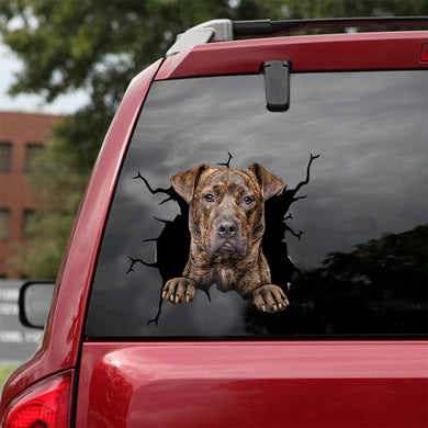 [dt0167-snf-tnt]-cane-corso-crack-car-sticker-dogs-lover