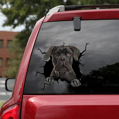 [dt0168-snf-tnt]-cane-corso-crack-car-sticker-dogs-lover
