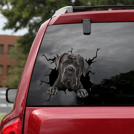 [dt0169-snf-tnt]-cane-corso-crack-car-sticker-dogs-lover
