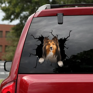 [sk1614-snf-tpa]-shetland-sheep-crack-car-sticker-dogs-lover