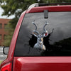 [sk0760-snf-tpa]-male-kudu-crack-car-sticker-animals-lover