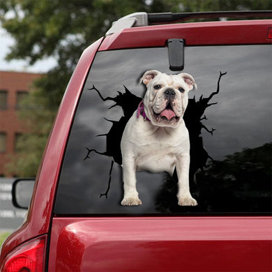 [dt0008-snf-lad]-english-bulldog-crack-car-sticker-dogs-lover