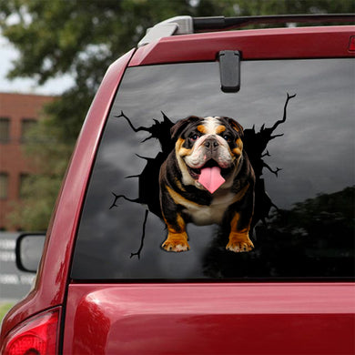 [dt0005-snf-lad]-english-bulldog-crack-car-sticker-dogs-lover