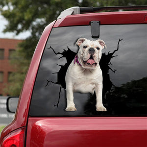 [dt0008-snf-lad]-english-bulldog-crack-car-sticker-dogs-lover