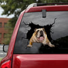 [dt0007-snf-lad]-english-bulldog-crack-car-sticker-dogs-lover