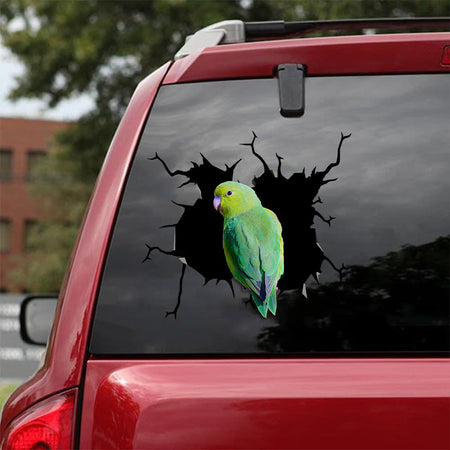 [sk1832-snf-tnt]-parrot-crack-sticker-birds-lover