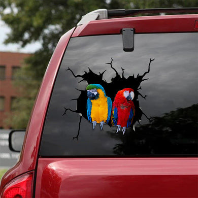 [sk1823-snf-tnt]-parrot-crack-sticker-birds-lover