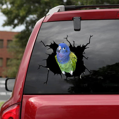 [sk1825-snf-tnt]-parrot-crack-sticker-birds-lover