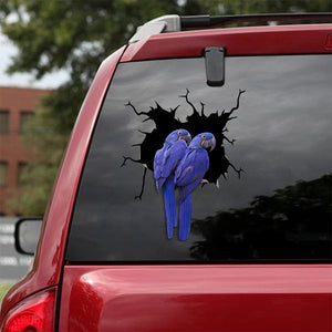 [sk1830-snf-tnt]-parrot-crack-sticker-birds-lover