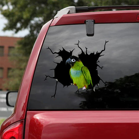 [bv0151-snf-tnt]-nanday-parakeet-parrot-crack-car-sticker-birds-lover