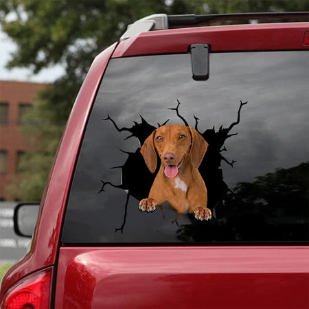 [sk1198-snf-vdt]-red-short-haired-dachshund-crack-sticker-dogs-lover