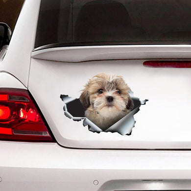 [sk0141-snf-ptd]Funny shih tzu car Sticker Lover - Camellia Print