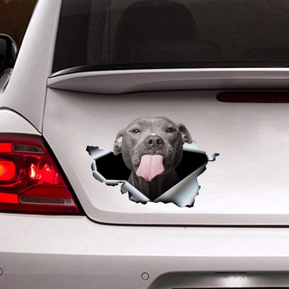 [sk0272-snf-ptd] Funny pitbull dogs Crack Car Sticker Lover - Camellia Print