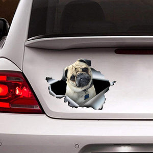 [sk0274-snf-ptd] Funny pug dogs Crack Car Sticker Lover - Camellia Print