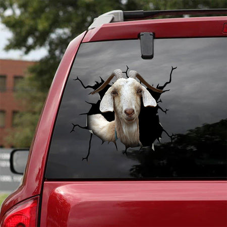 [sk1302-snf-lad]-spanish-goat-crack-sticker-cattle-lover